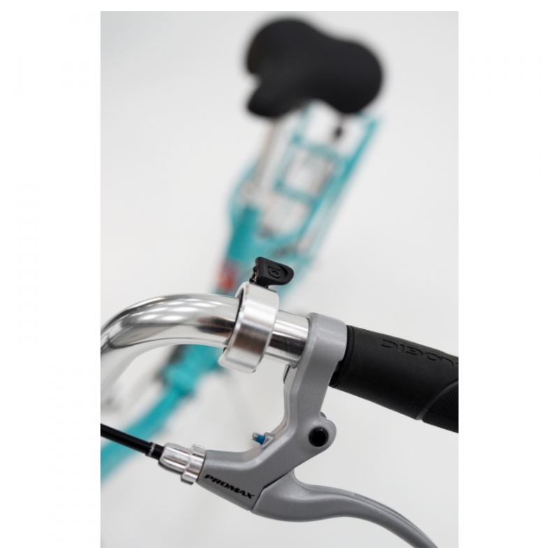 ROG PONY CLASSIC 3 AZURNA