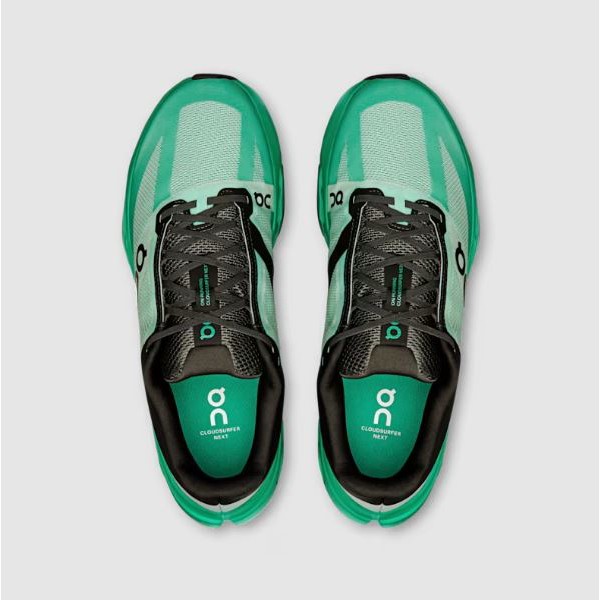 Moški copati On CLOUDSURFER NEXT