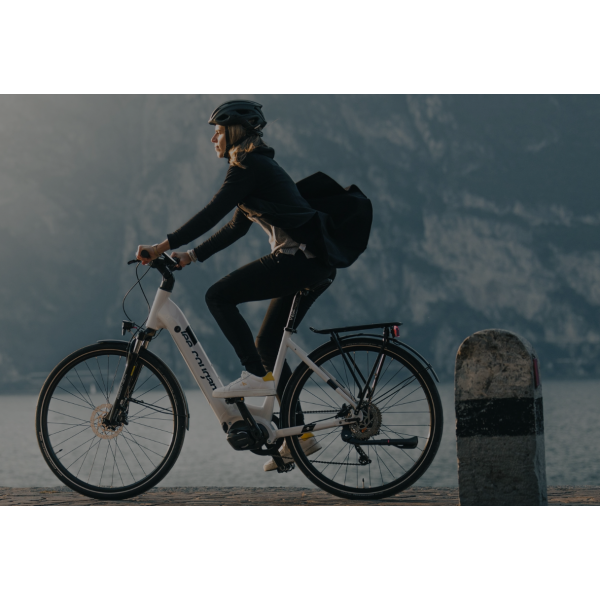 ELEKTRIČNO KOLO LEE COUGAN DENAMO 24 OPAL WHITE TOUR/SH EP6 NA SUBVENCIJO